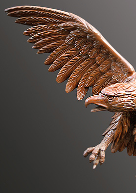 left side picture of flight eagle