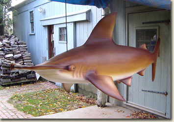 second image of 8 foot hanging handcarved hammerhead shark inside